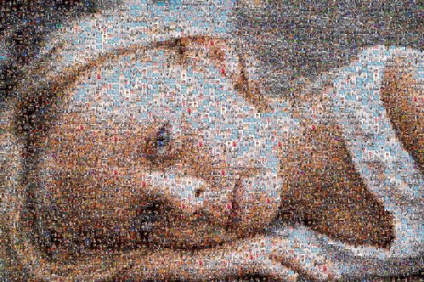 Portrait of a Young Woman photo mosaic
