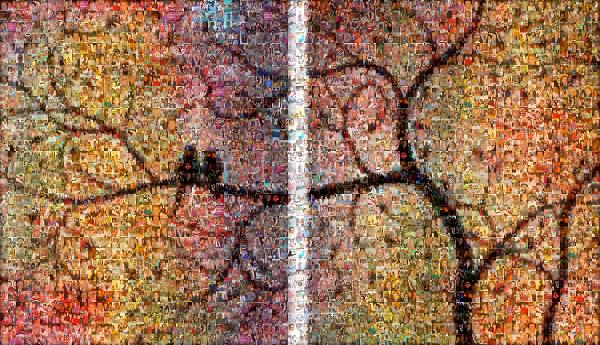 Abstract Silhouette photo mosaic