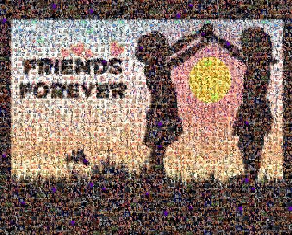 Friends Forever photo mosaic