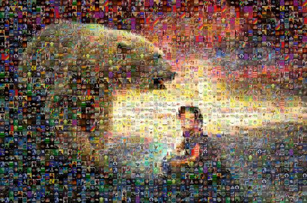 Polar bear photo mosaic