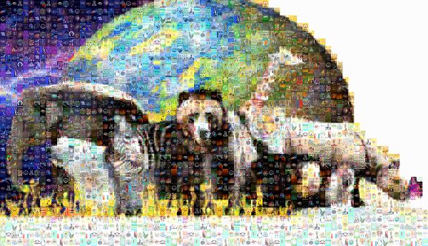 Animal photo mosaic
