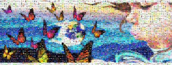 Igreja Mundial do Poder de Deus photo mosaic