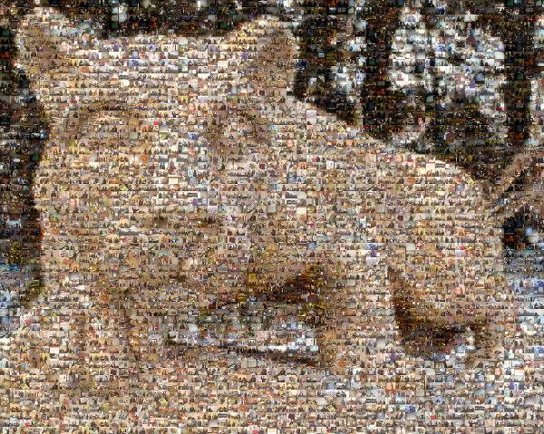 Nittany Lion photo mosaic