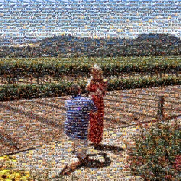 Beautiful Proposal photo mosaic