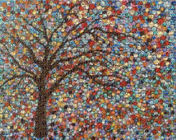 Abstract Tree photo mosaic
