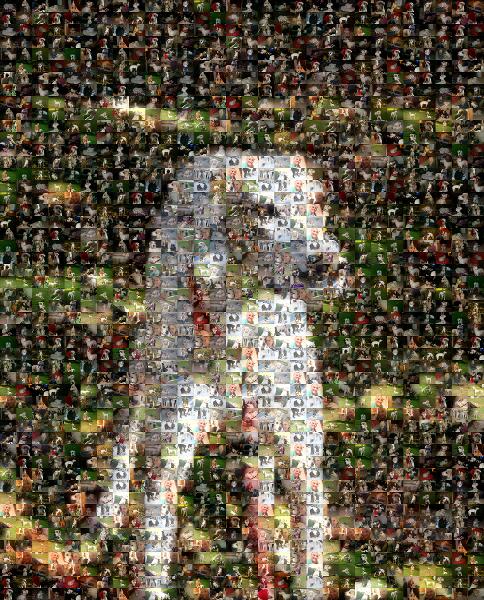 Beautiful White Dog photo mosaic