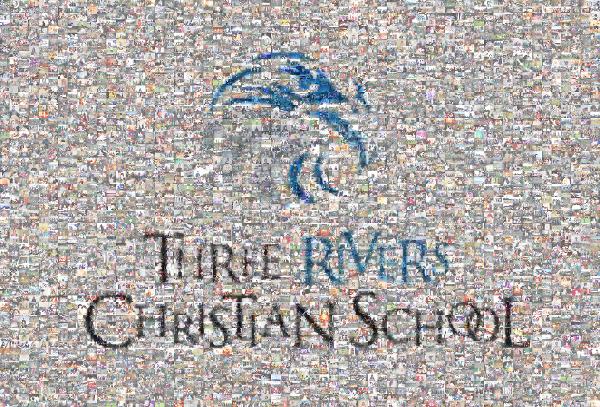 School Logo photo mosaic