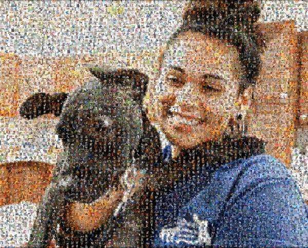 Lovable Pet photo mosaic