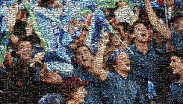 Fans photo mosaic