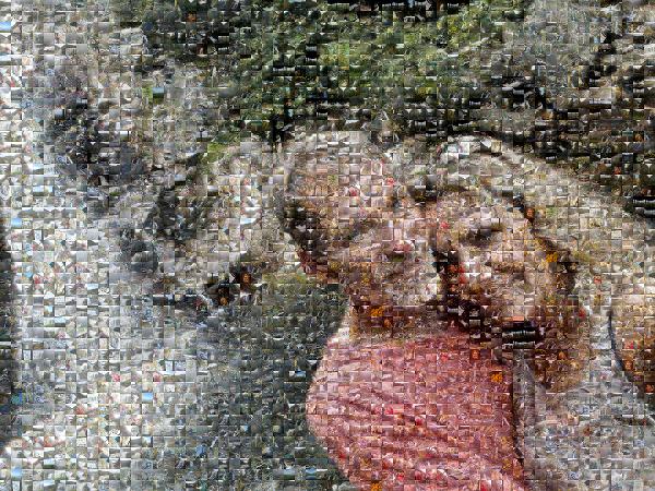 A Couple's Getaway photo mosaic