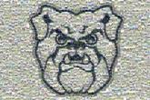 golf sports bulldogs logos mascots
