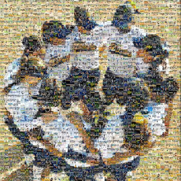 A United Team photo mosaic