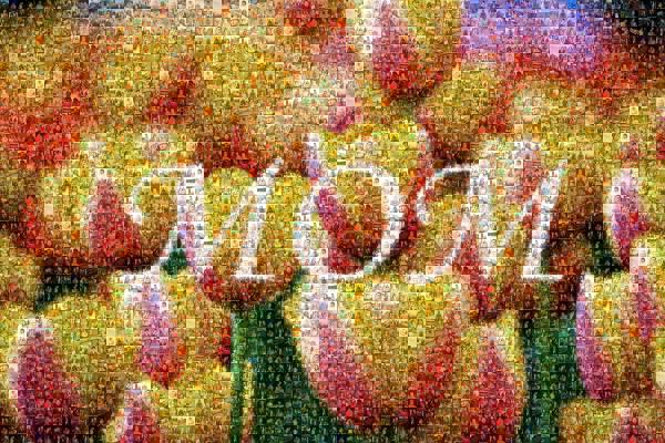 A Mother's Birthday photo mosaic
