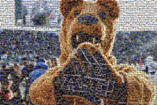 Penn State Nittany Lions football photo mosaic