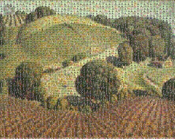Illustrated Landscape photo mosaic