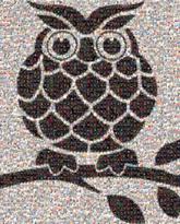 schools kids logos mascots owl animal symbols graphics children