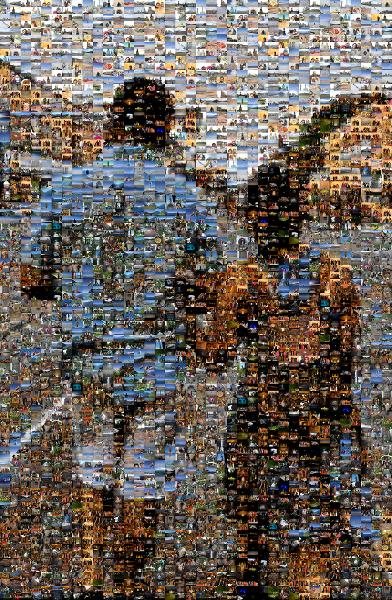 Couple Taking a Stroll photo mosaic