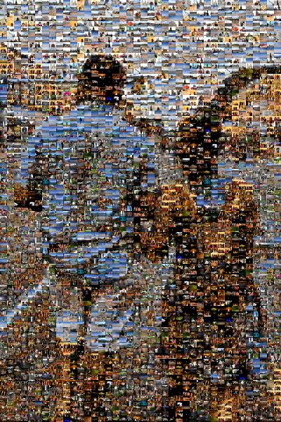 Couple on a Walk photo mosaic