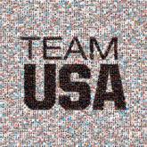 teams sports logos branding graphics olympics pride