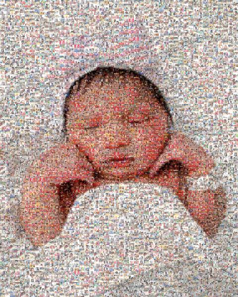 Baby's First Year  photo mosaic