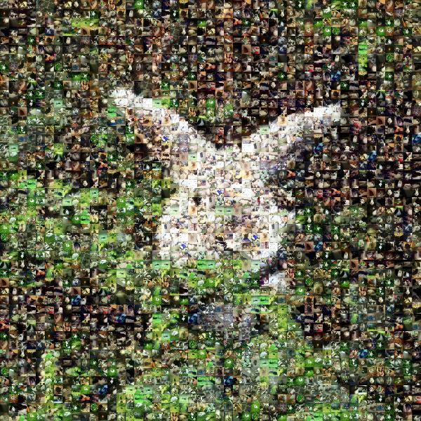A Cute Bunny photo mosaic