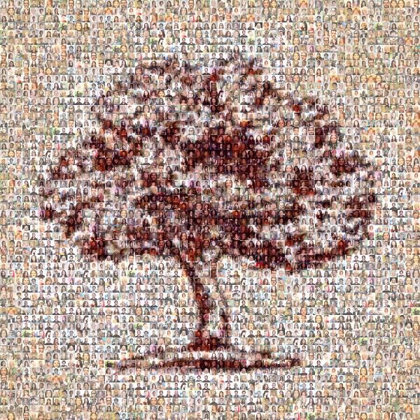 Artistic Tree photo mosaic