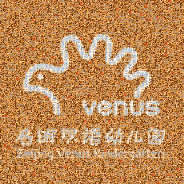 Beijing Venus Kindergarten photo mosaic