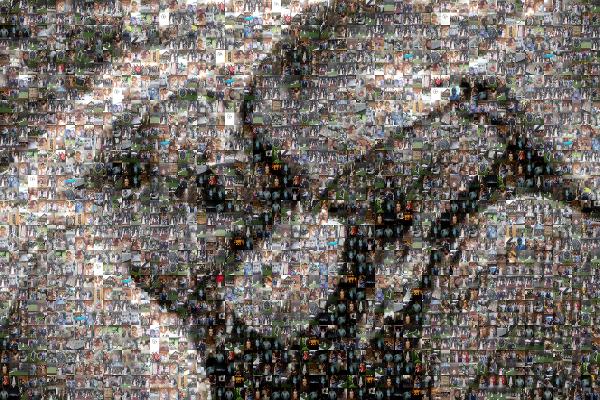 First Look Photo photo mosaic