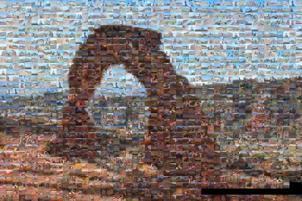 Arches National Park photo mosaic