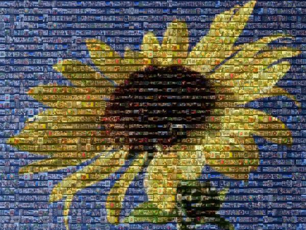 A Sunflower photo mosaic