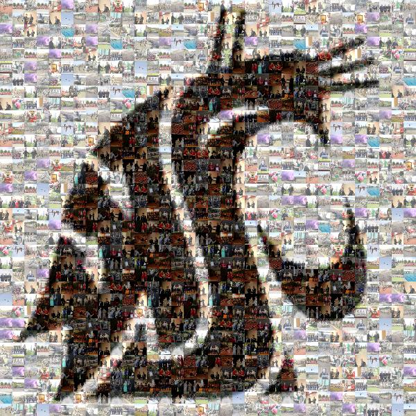 Thank You Colonel photo mosaic
