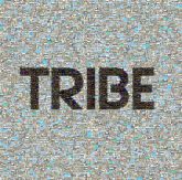 tribe camping camps summer outdoors outside logos text words letters bold simple