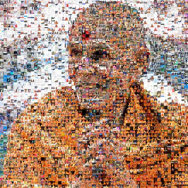 A Hindu Monk photo mosaic