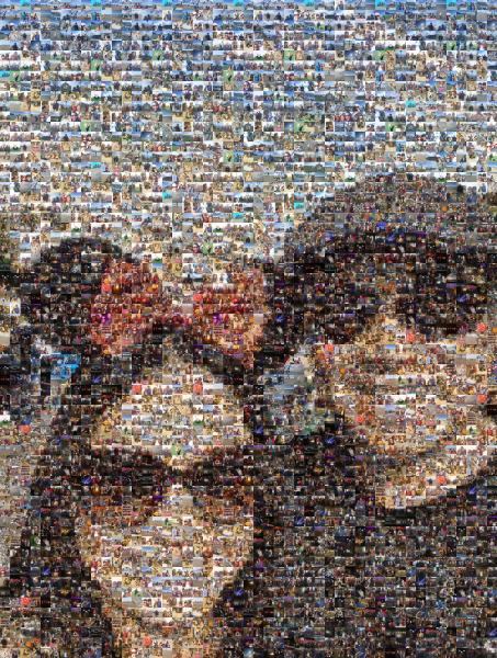 Vacation Couple photo mosaic