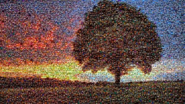 Vivid Sunset photo mosaic
