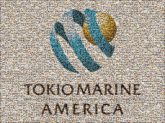 words fonts text symbols graphics logos icons tma tokiomarine company business corporate professional
