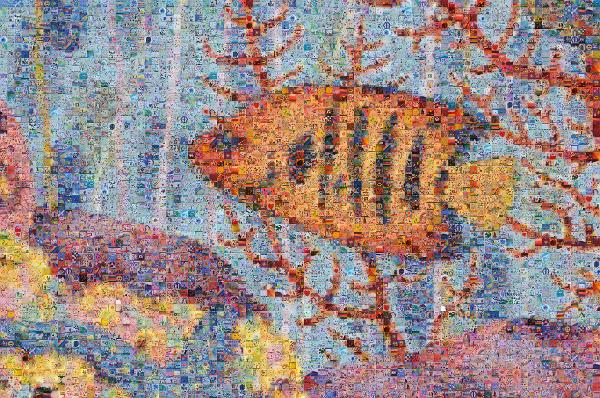 Drawing of a Fish photo mosaic