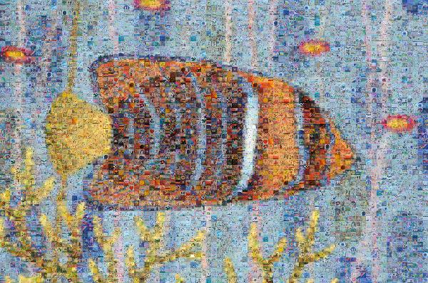 Drawing of a Fish photo mosaic
