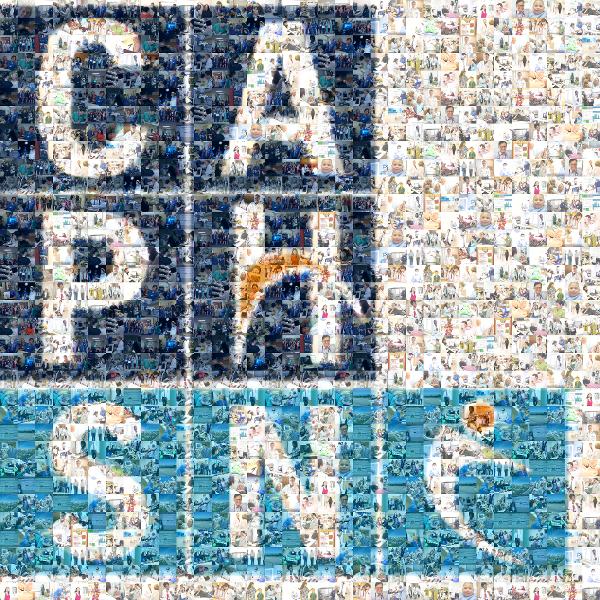 CAPH Logo photo mosaic