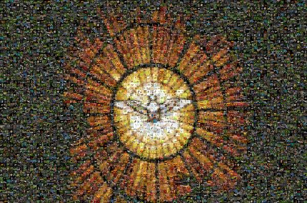 Dove photo mosaic