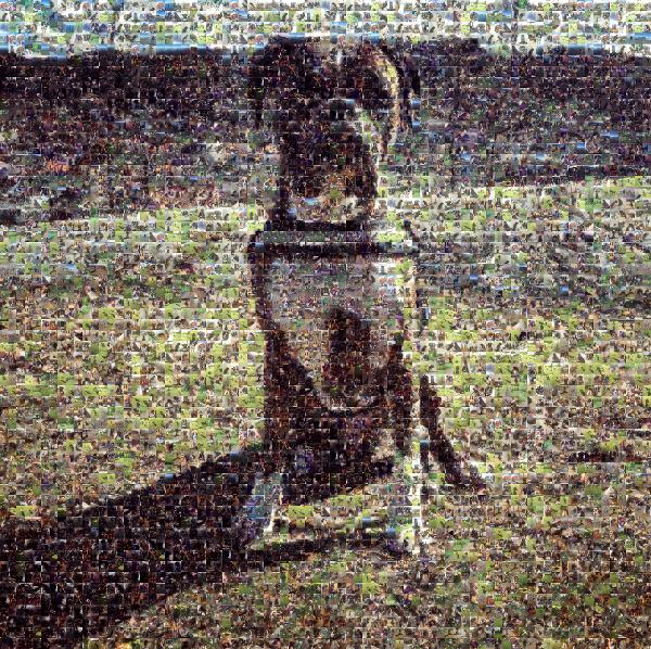 A Friendly Boxer photo mosaic