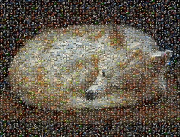 Nena the Dog photo mosaic