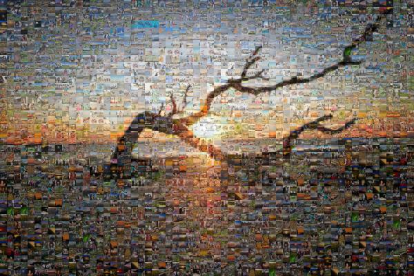 Picturesque Sunset photo mosaic