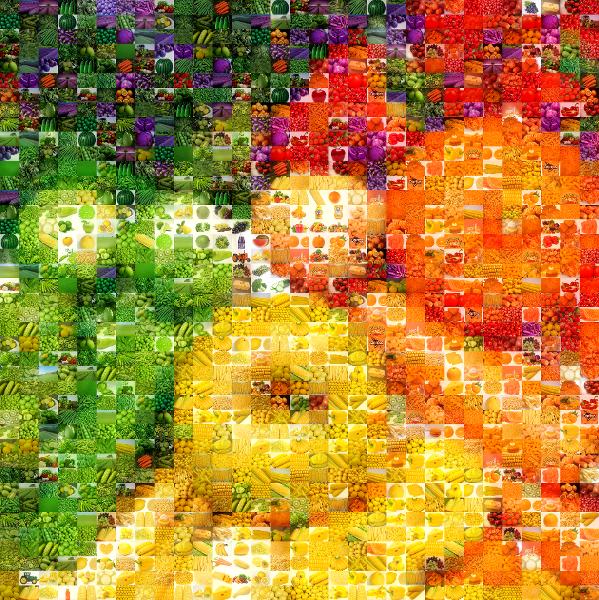 Fruits and Vegetables photo mosaic