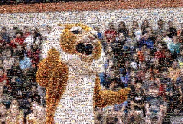 Football Mascot photo mosaic