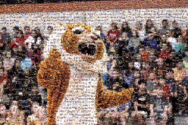 Mascot Riling the Crowd photo mosaic