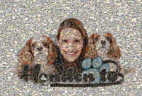 Honden TV photo mosaic