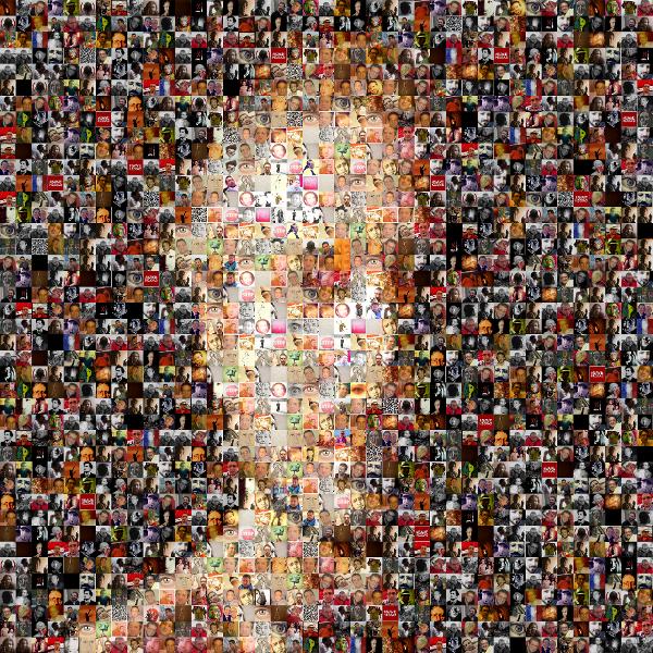 Face in Shadow photo mosaic