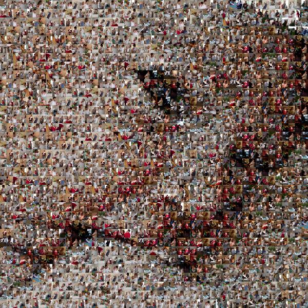 Baby's First Day  photo mosaic