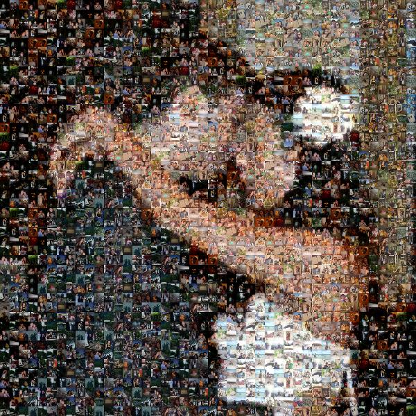 Newlyweds Embrace photo mosaic